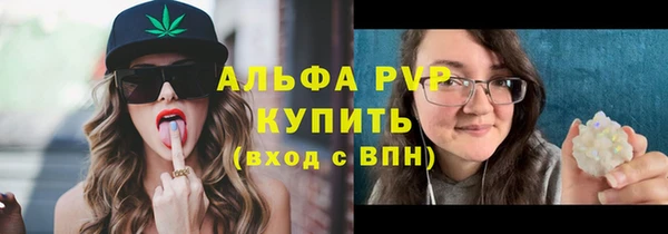 винт Алексин
