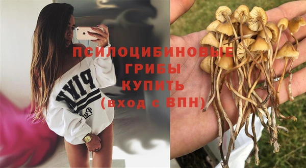 винт Алексин