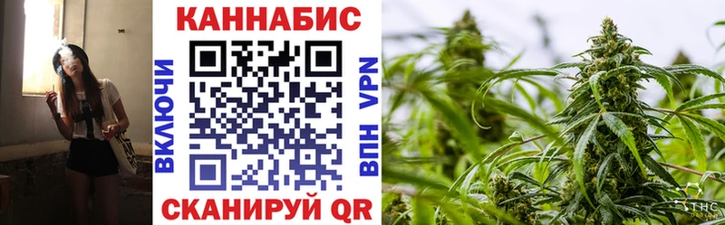 дарнет шоп  OMG ССЫЛКА  Шишки марихуана планчик  Билибино 